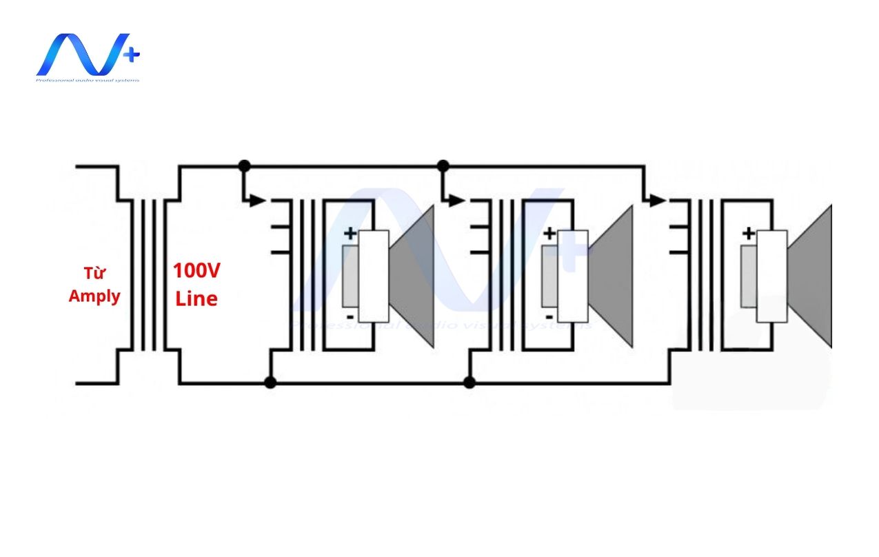 Hệ thống loa 100V line