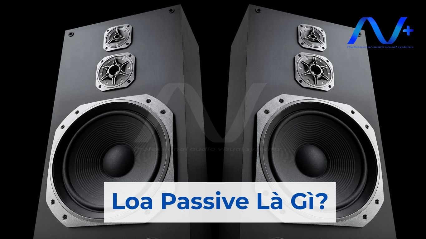 Loa Passive Là Gì