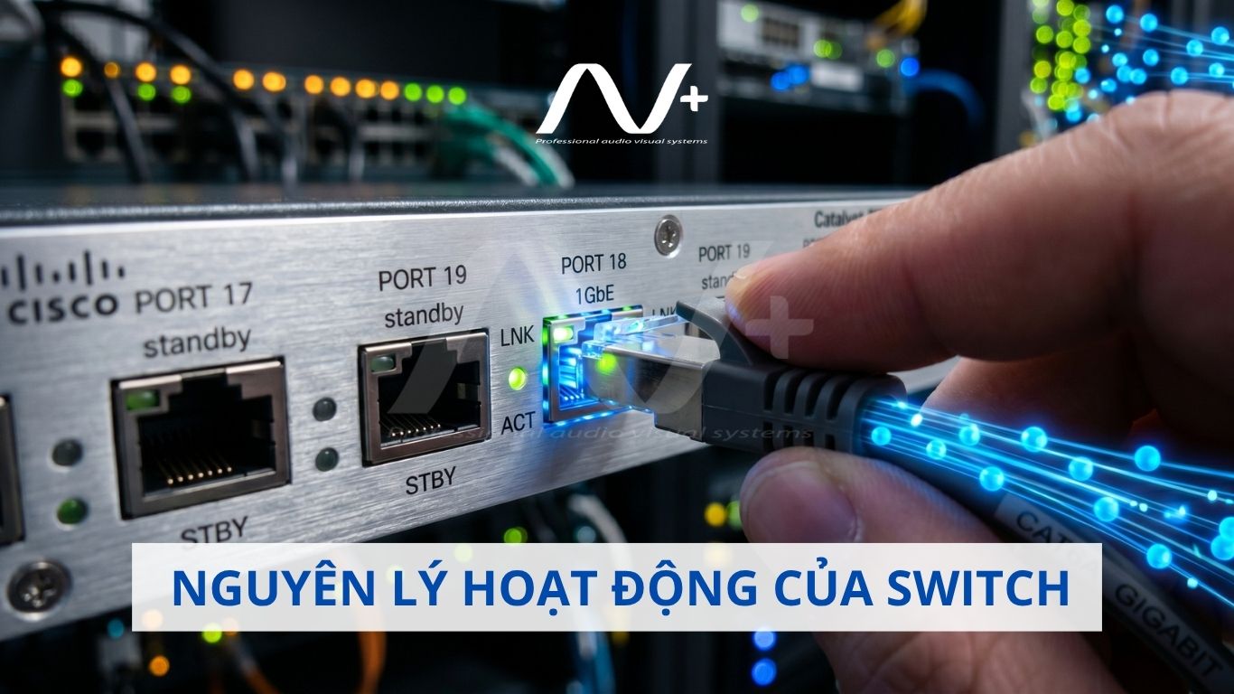 Nguyên lý hoạt động của Switch