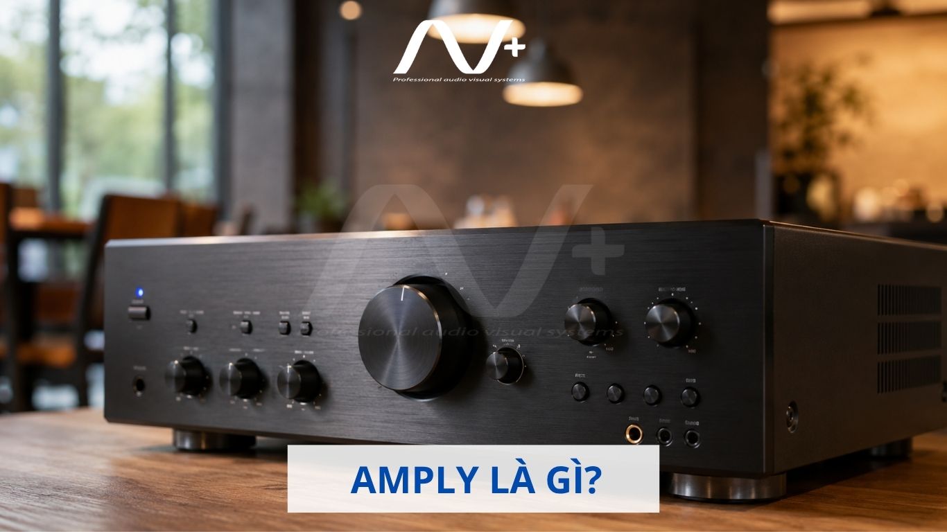 Amply là gì