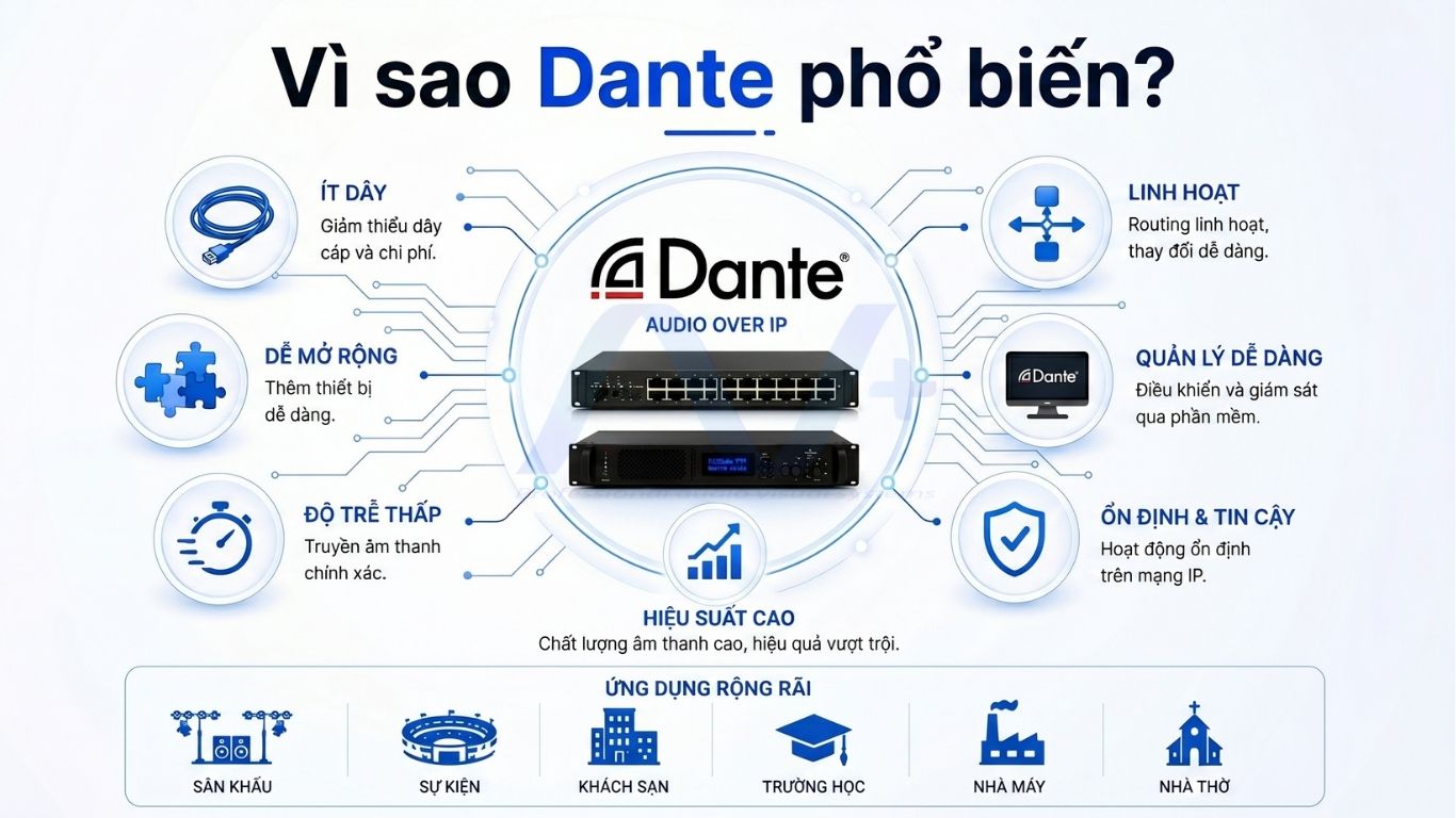 Vì sao Dante ngày càng phổ biến